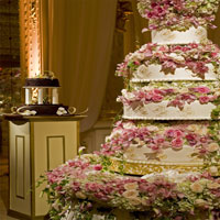 The Cake By Photographer Michael Steighner